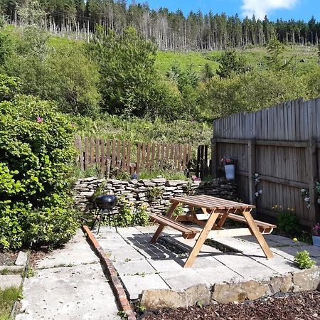 Afan Valley Home - Contractor Accommodation Port Talbot Buitenkant foto