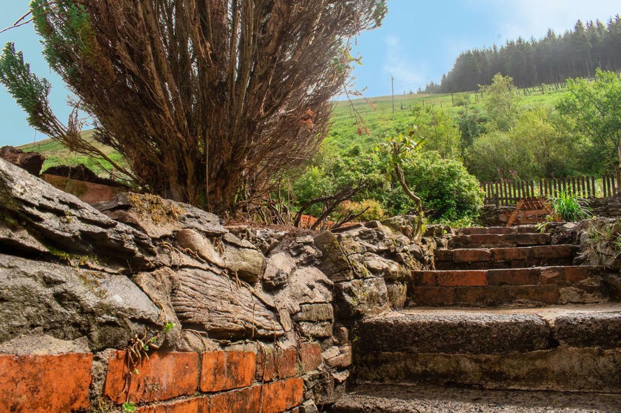 Afan Valley Home - Contractor Accommodation Port Talbot Buitenkant foto